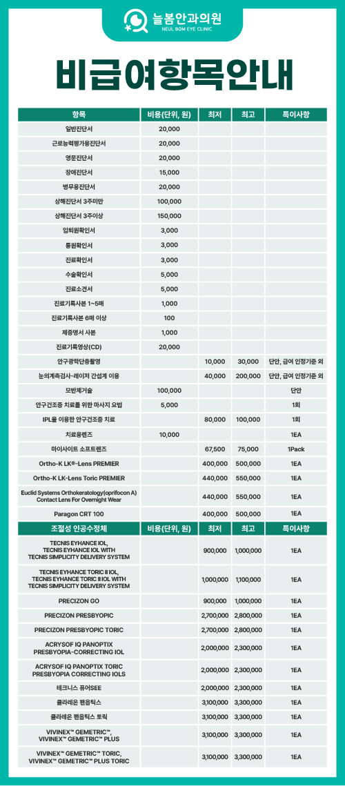 비급여항목